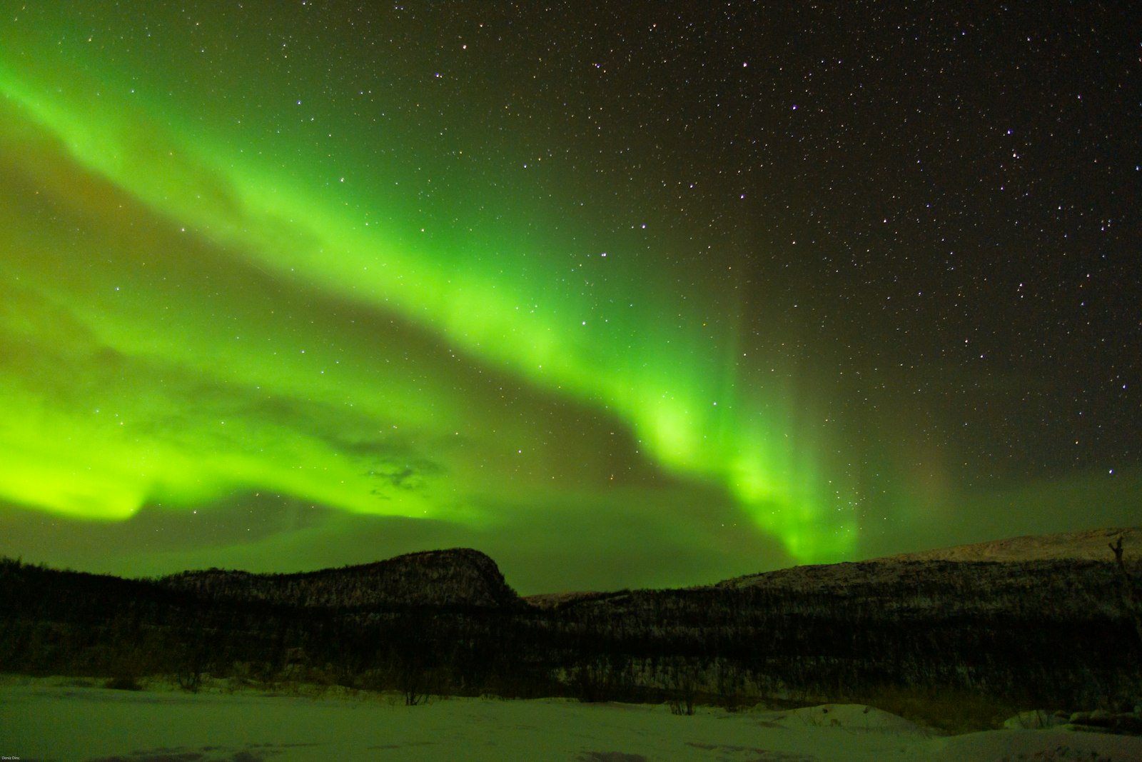 Private group watching the Northern Lights over a fjord near Tromsø